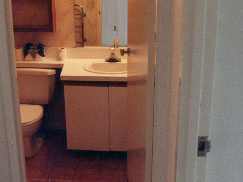 New, updated bathroom